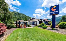 Comfort Inn Near Great Smoky Mountain National Park